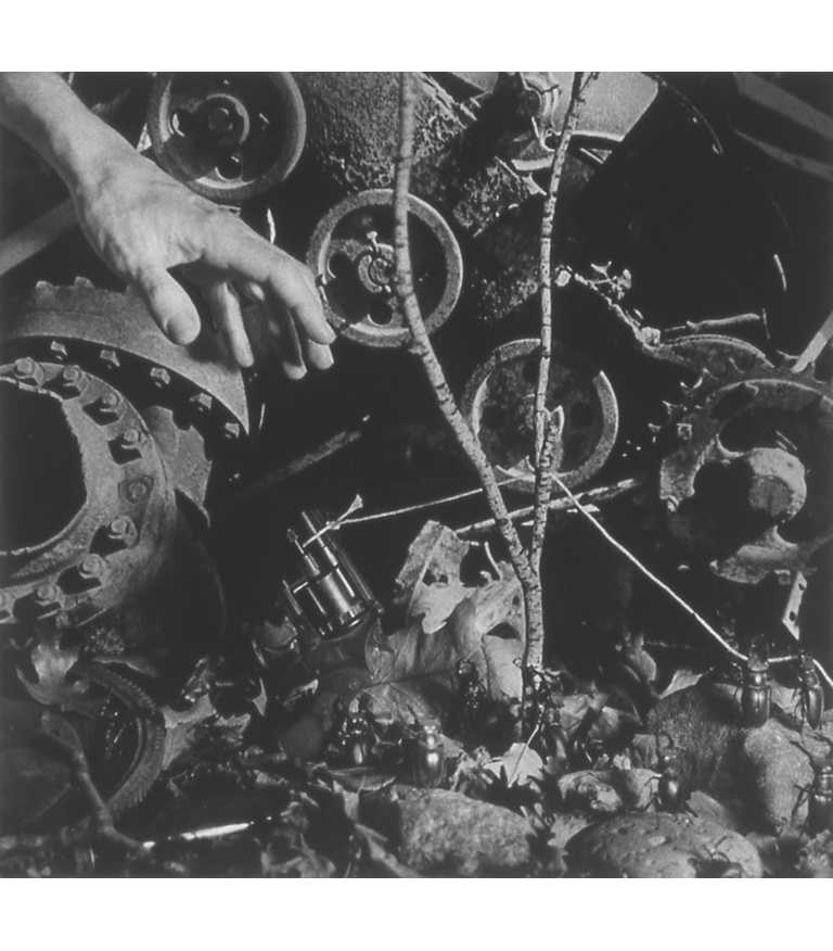 Untitled (Tree, Hand, Cogs, Gun) 1988-89