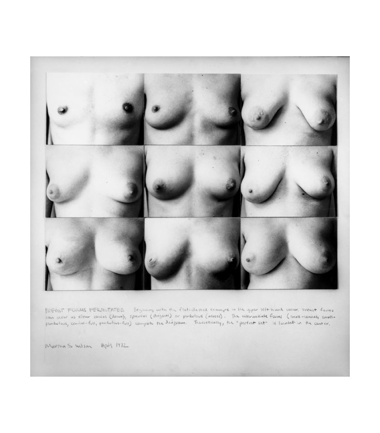 Breast Forms Permutated  1972