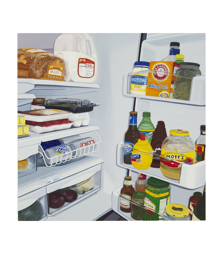 Refrigerator 2009