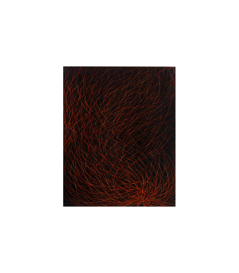 untitled red bush, black 2001 