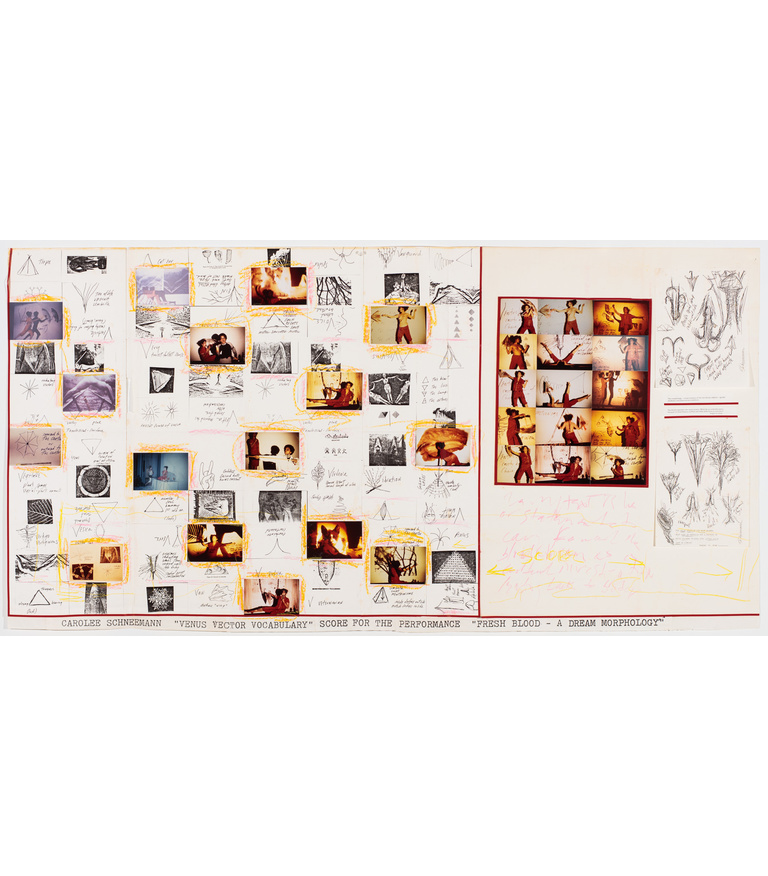Venus Vector Vocabulary, 1990