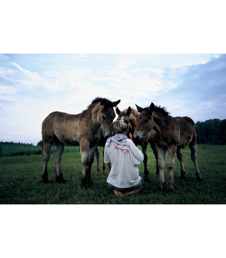 Whispering Secrets to Baby Horses