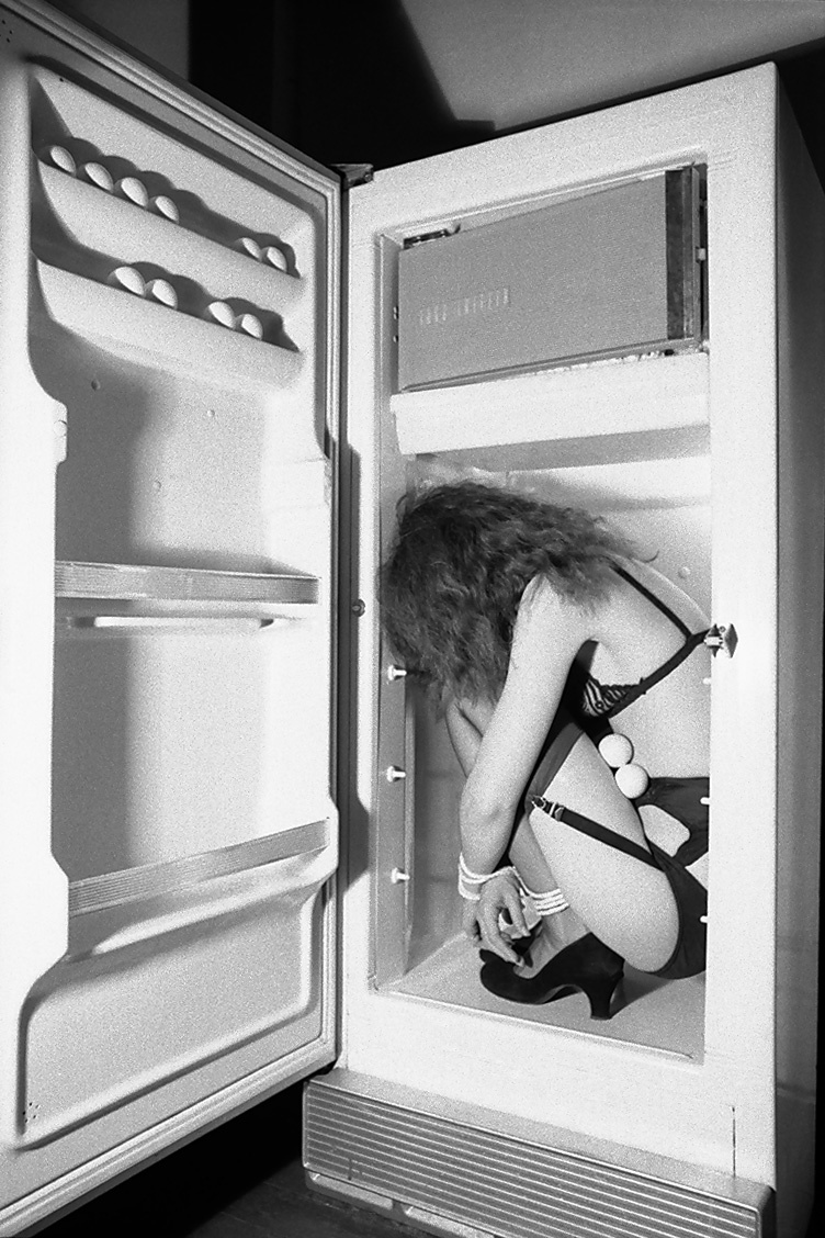 Refrigerator, 1978