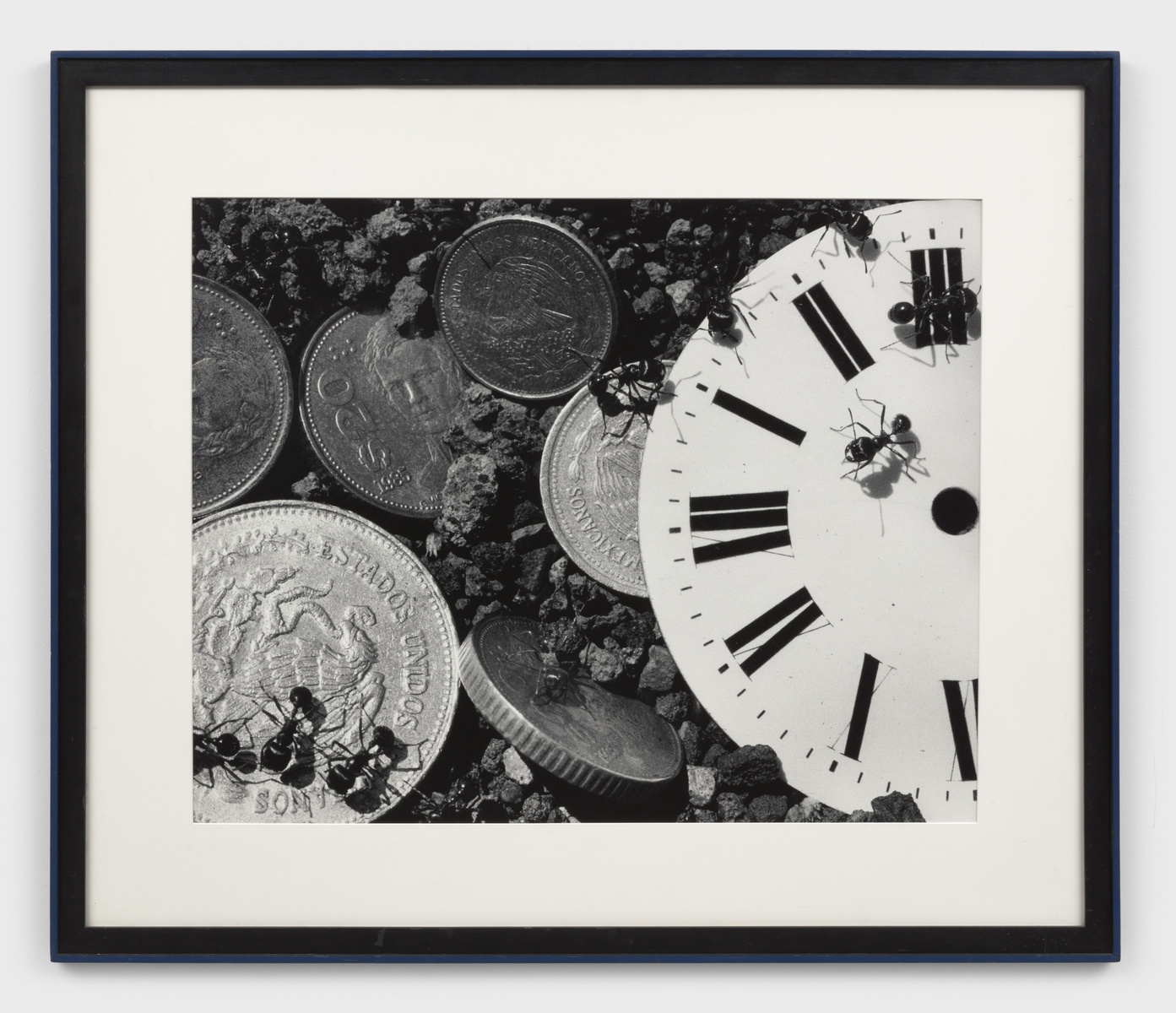 Untitled (Time / Money) from the Ant Series