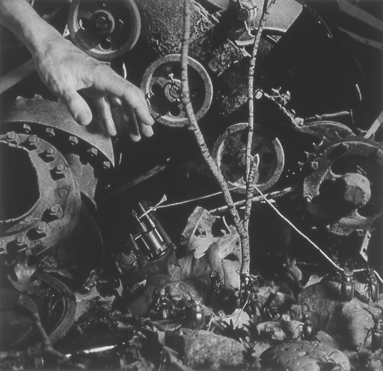 Untitled (Tree, Hand, Cogs, Gun) 1988-89