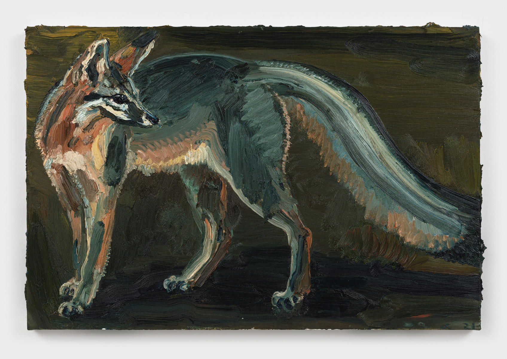 Night Fox #2