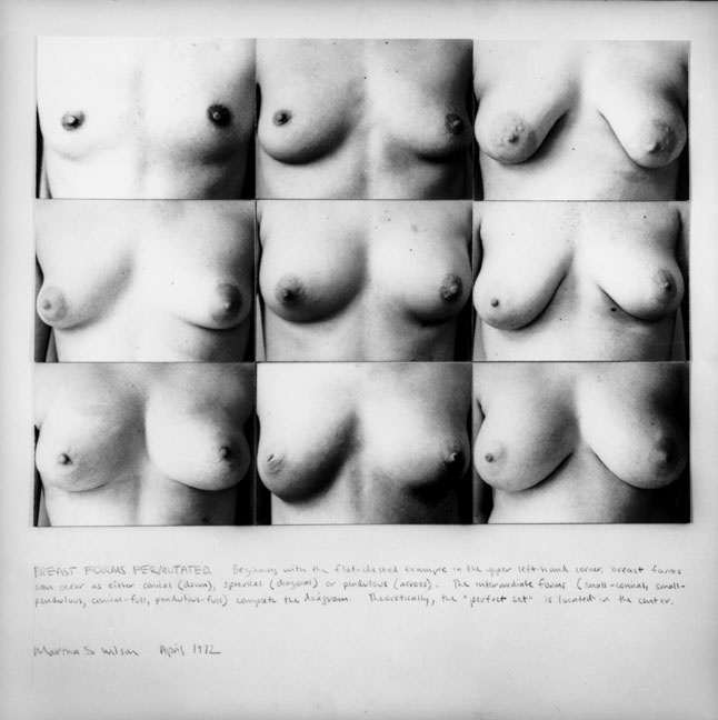 Breast Forms Permutated  1972