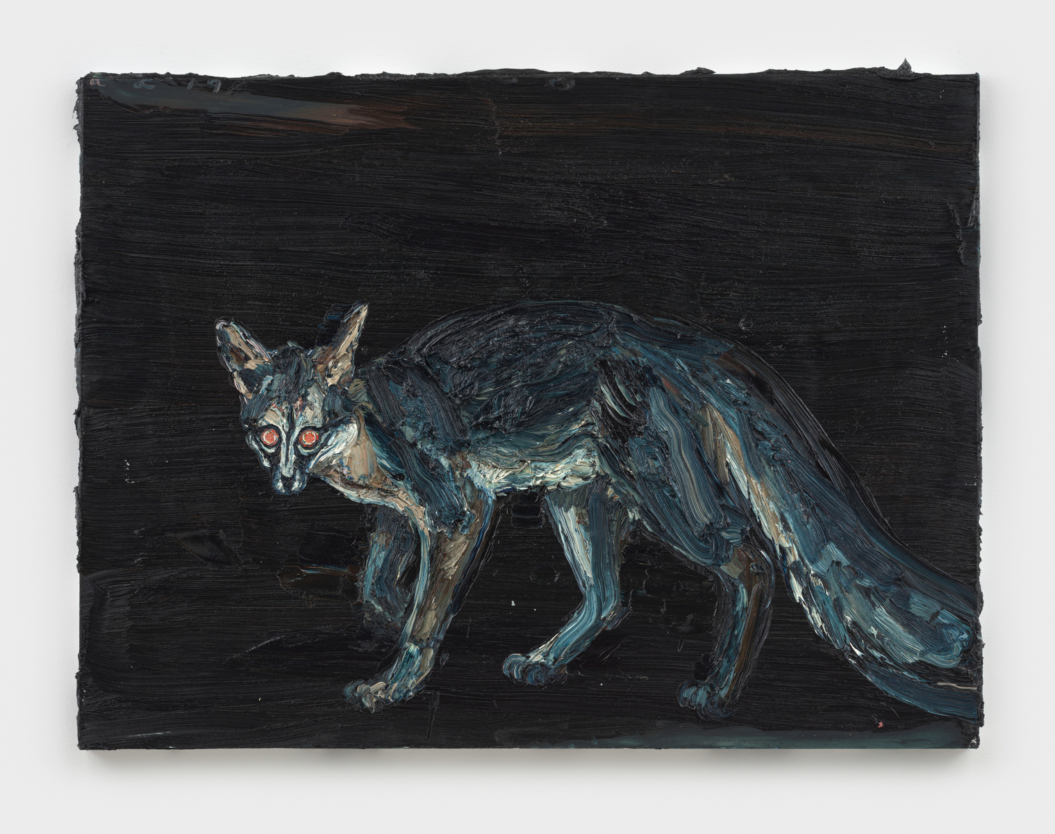 Tupelo's Fox, 2019