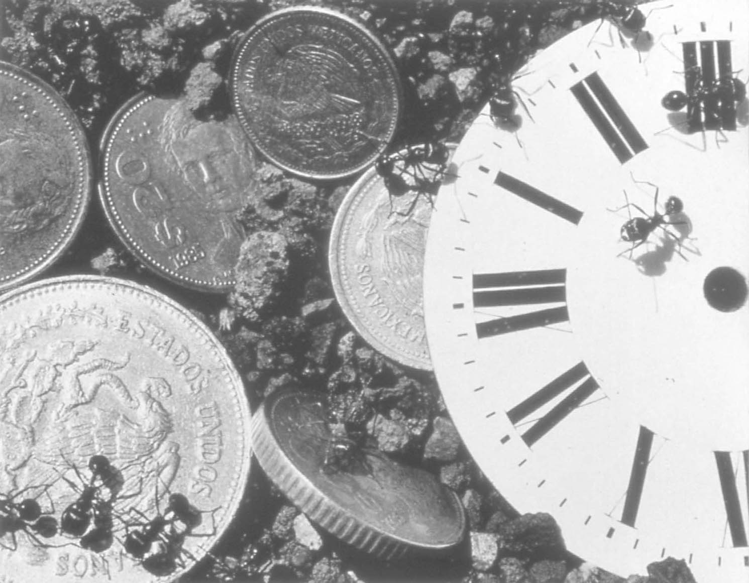 Untitled from Ant Series (time/money) 88/89