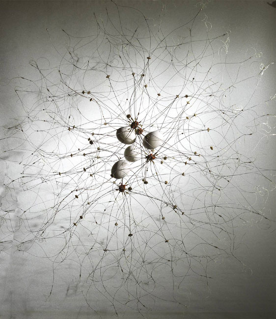 The Familial Structure of Social Mammals from the Same Litter 2009